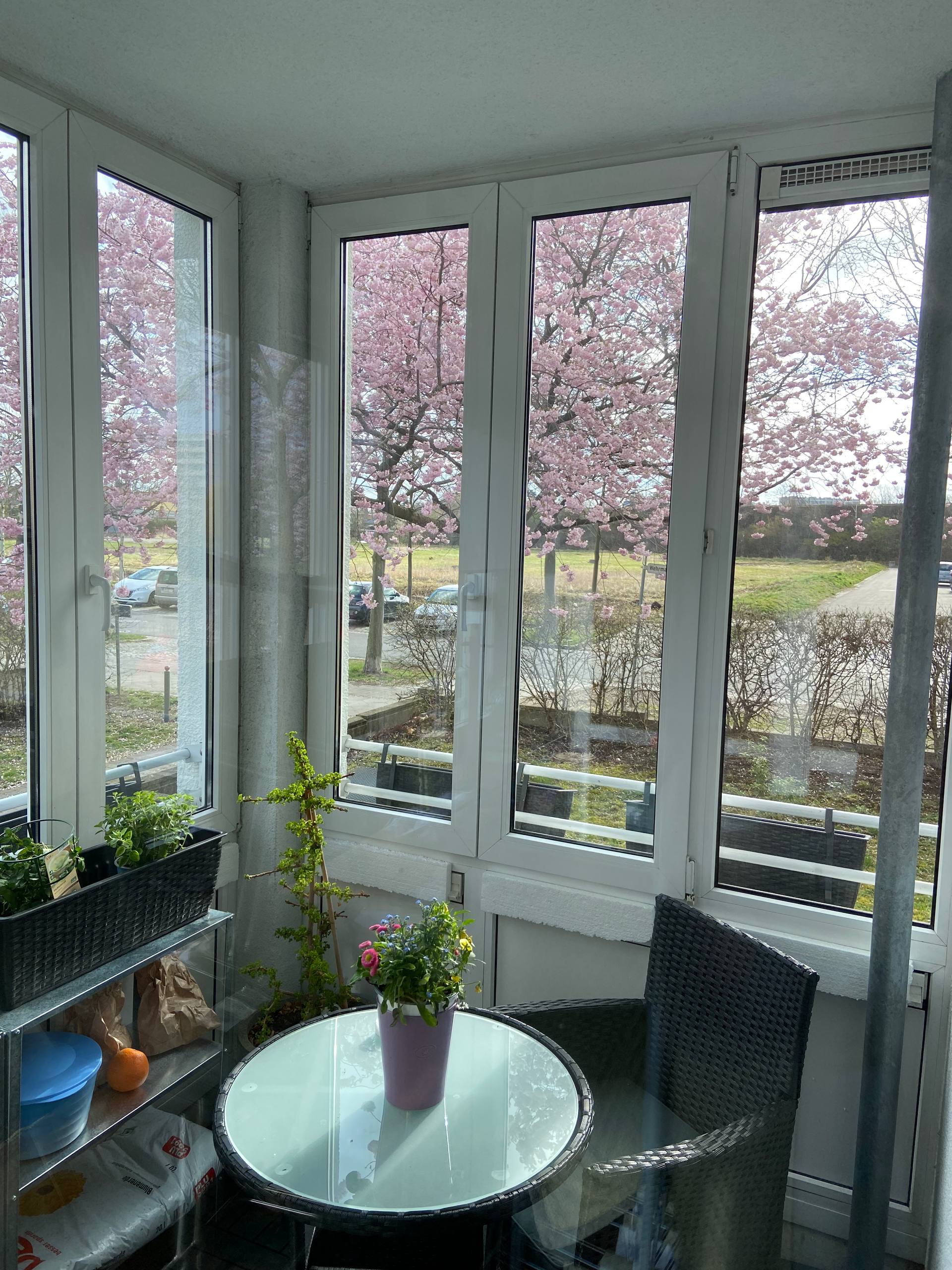 Wehrmathen apartment in Schönefeld — photo 21